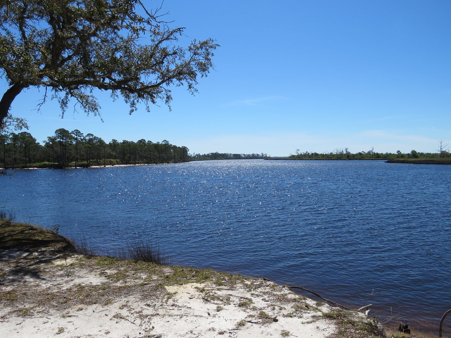 Winds of Destiny RVLife Ochlockonee River State Park, 4/01/2017
